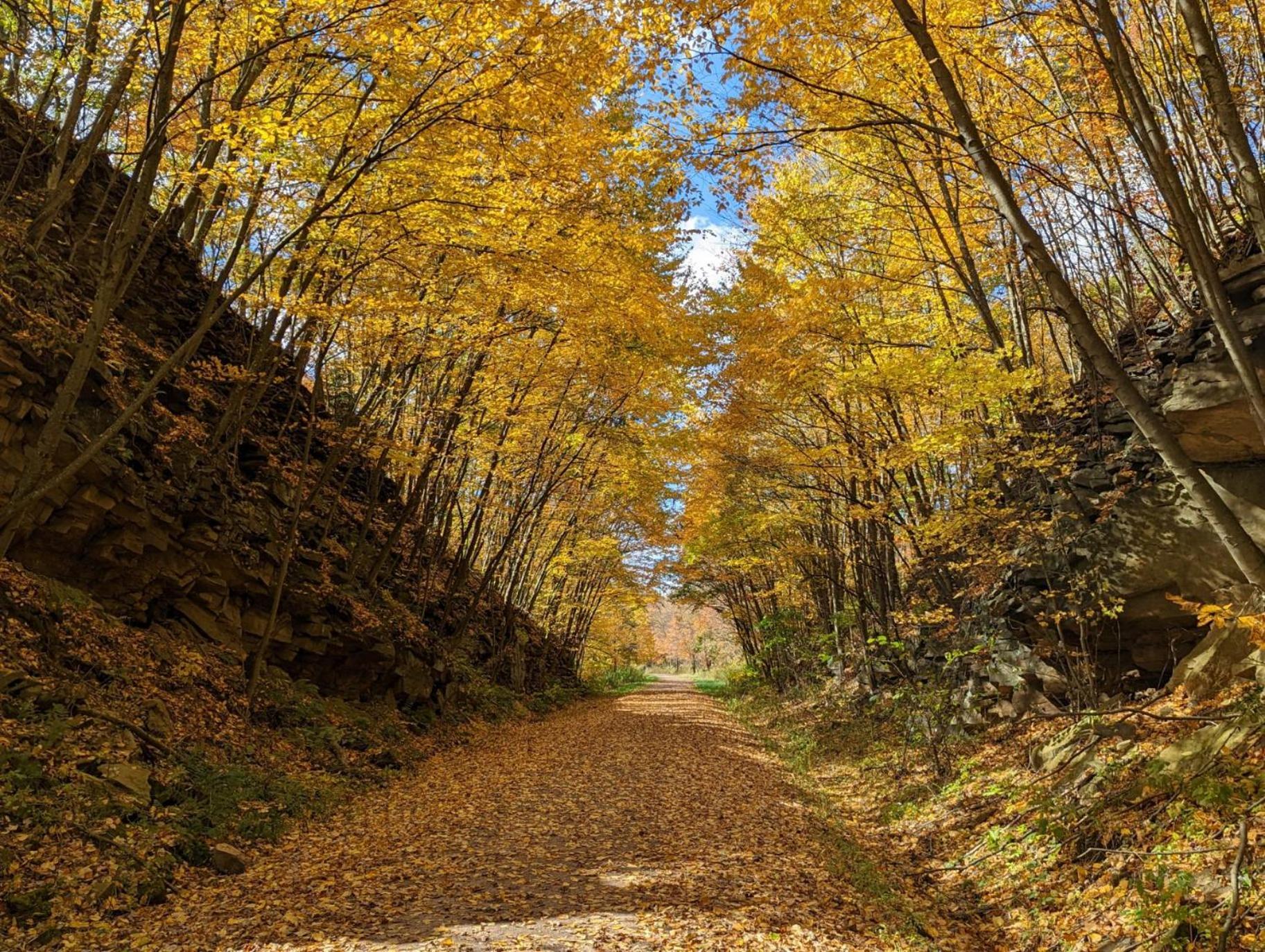 Stay In Ohiopyle Near Gap Trail, Restaurants, & The Fallls Exteriér fotografie